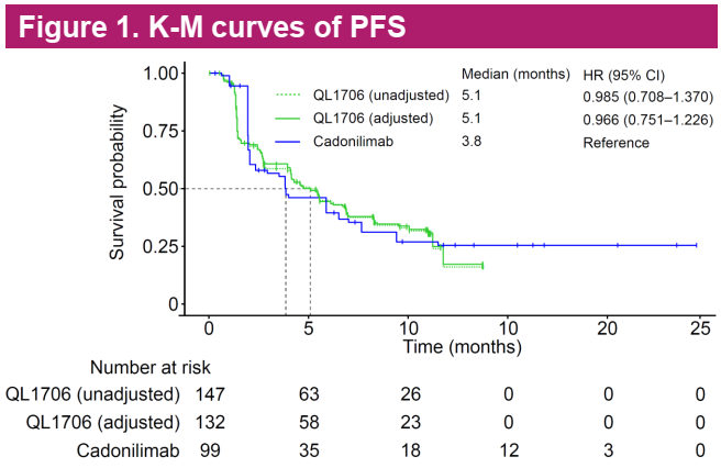 图1 PFS的K-M曲线结果.png