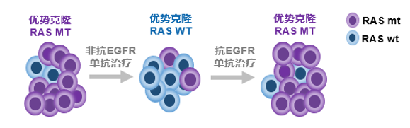 微信图片_20241106145446.png