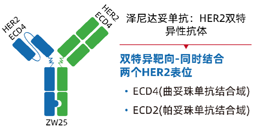 图片1(1)(1).png