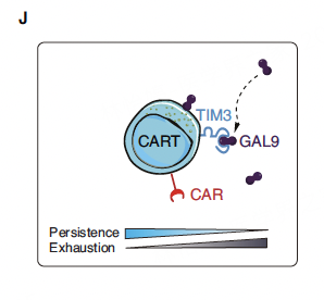 截屏2025-10-26 14.16.33.png 截屏2025-10-26 14.16.33.png