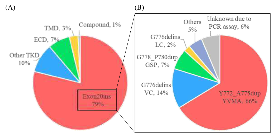图1 不同HER2突变亚型及其占比.png