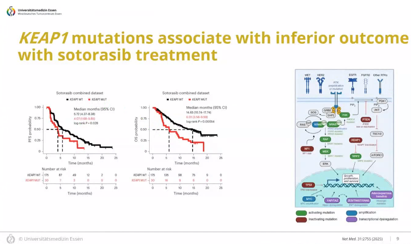 10b9d0bd-d865-44ac-9542-c767d60fbc1f.png 10b9d0bd-d865-44ac-9542-c767d60fbc1f.png