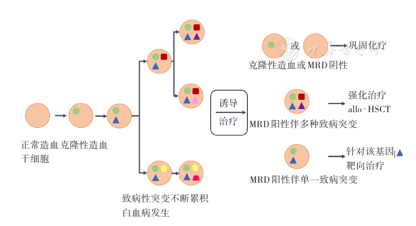 微信图片_20240201144653.png