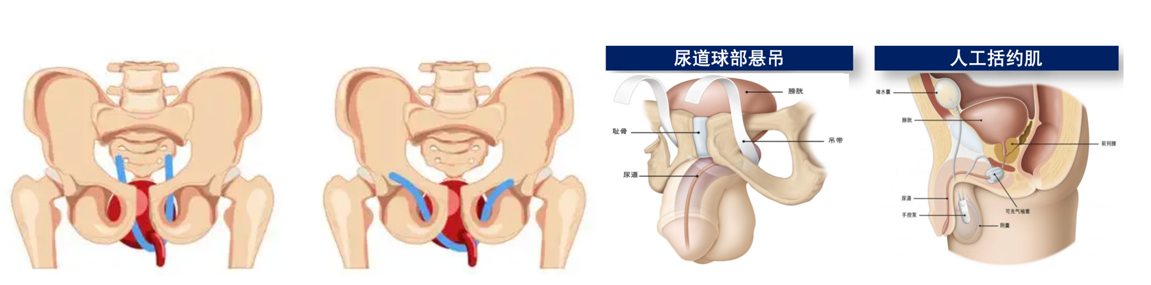 微信图片_20250617134259.png