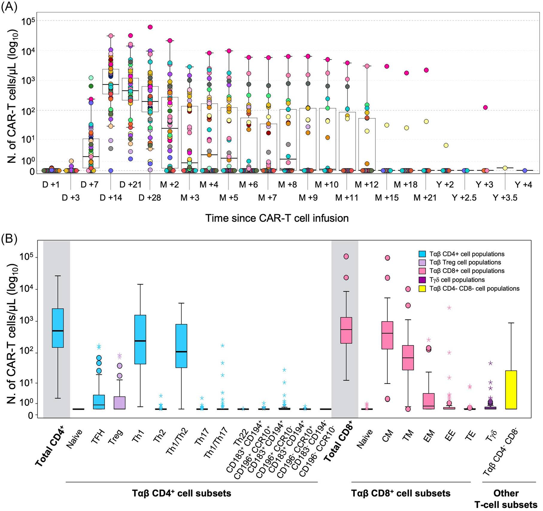 Impact of the kinetics of circulating anti-BCMA CAR-T cells and normal lymphocytes on the outcome of MM patients.jpeg