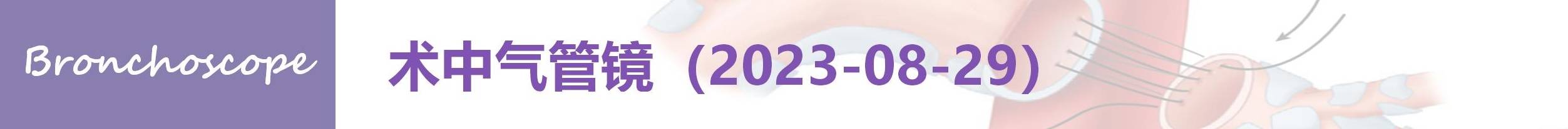 ３３３３３.png