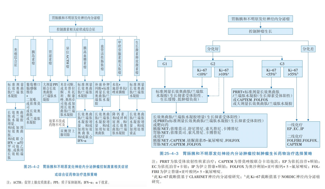 图：转移性胃肠胰神经内分泌肿瘤内科药物治疗选择-2025CACA.png