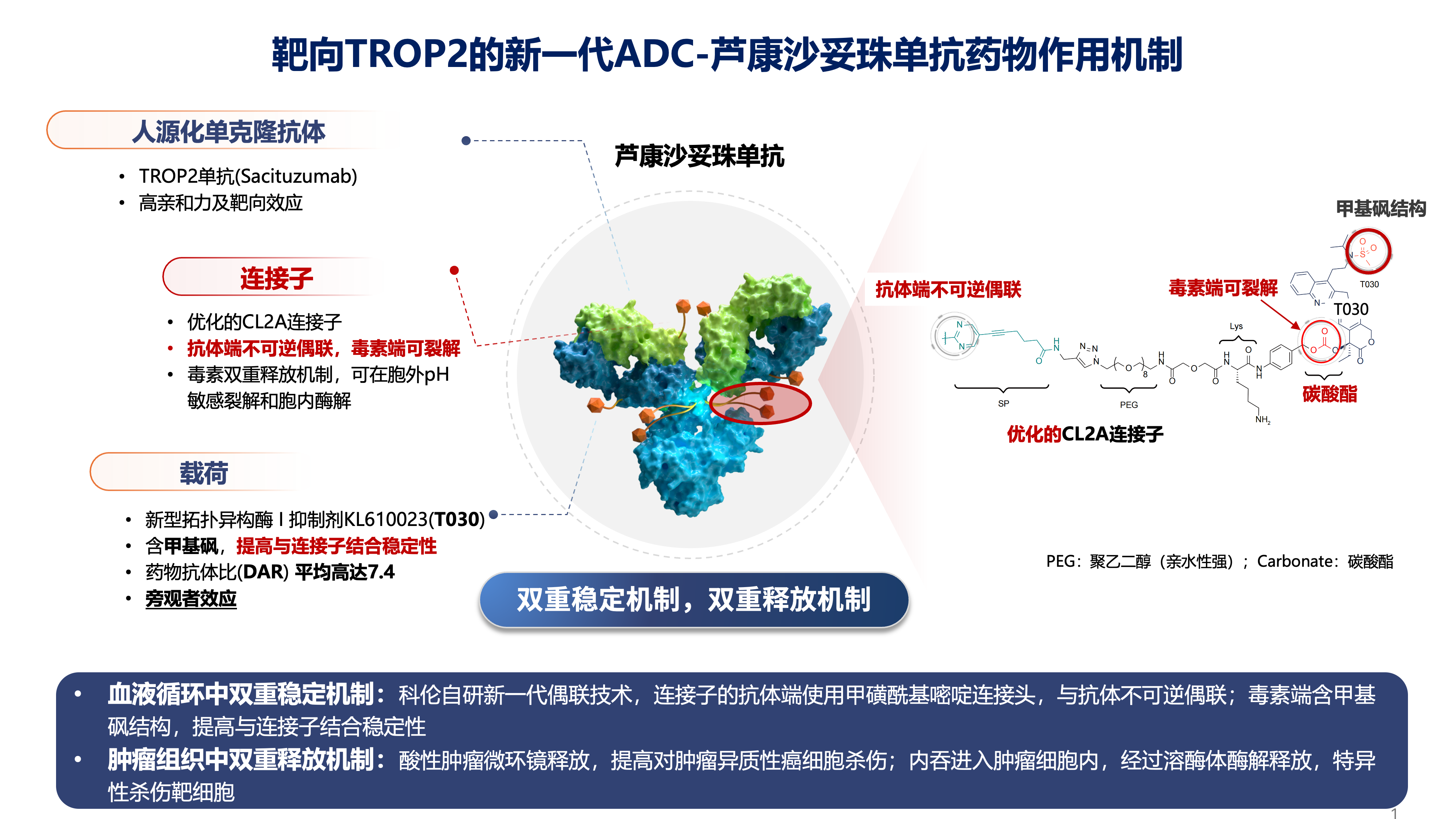 SKB264药物作用机制-1027.png SKB264药物作用机制-1027.png