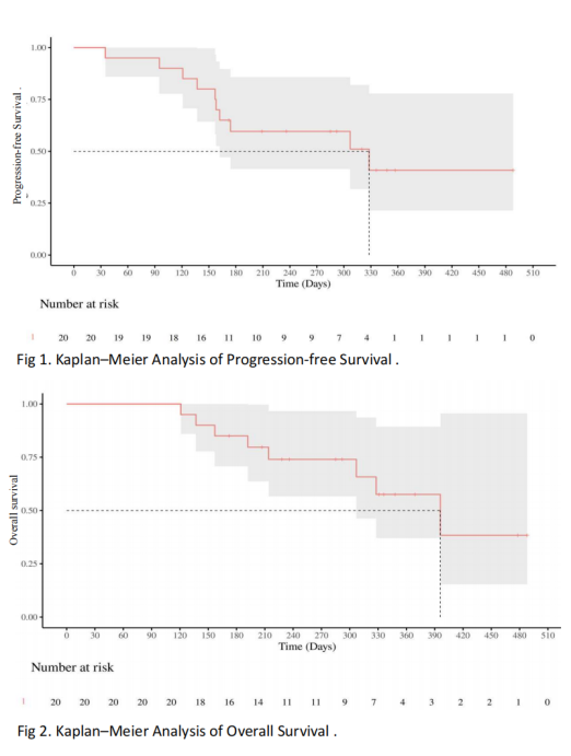 图2 PFS和OS Kaplan-Meier曲线.png