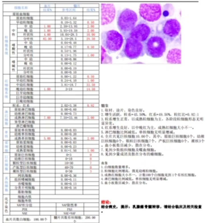 骨髓细胞学检查.png