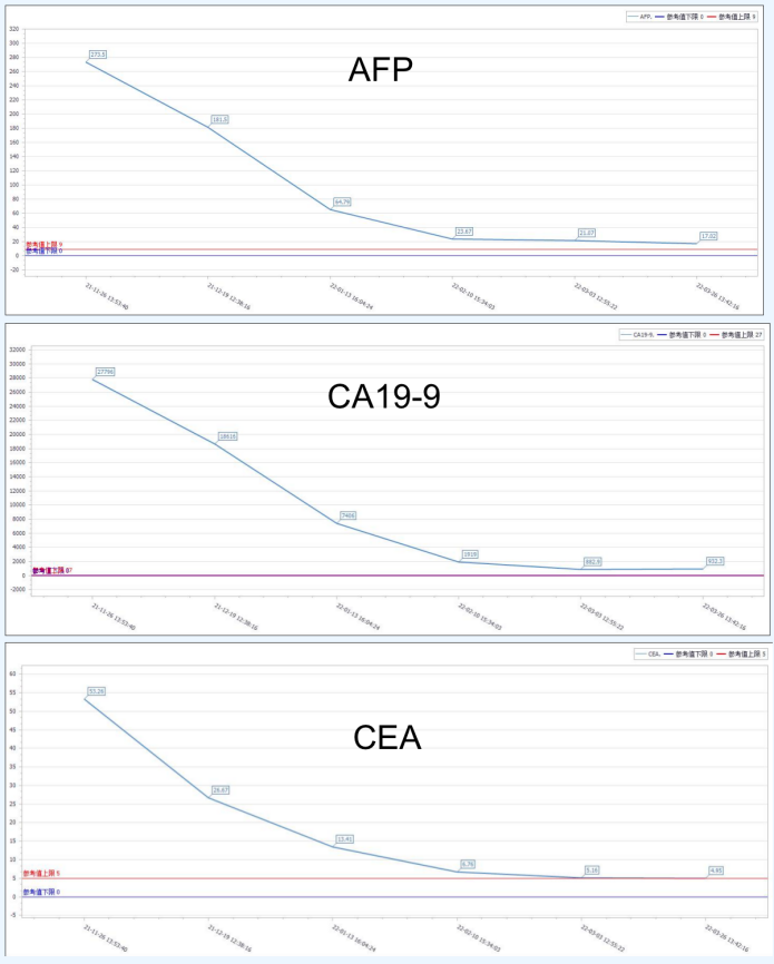新辅助治疗期间患者AFP、CA19-9、CEA等肿瘤标记物水平变化趋势图.png