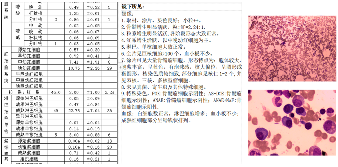 image001.png image001.png