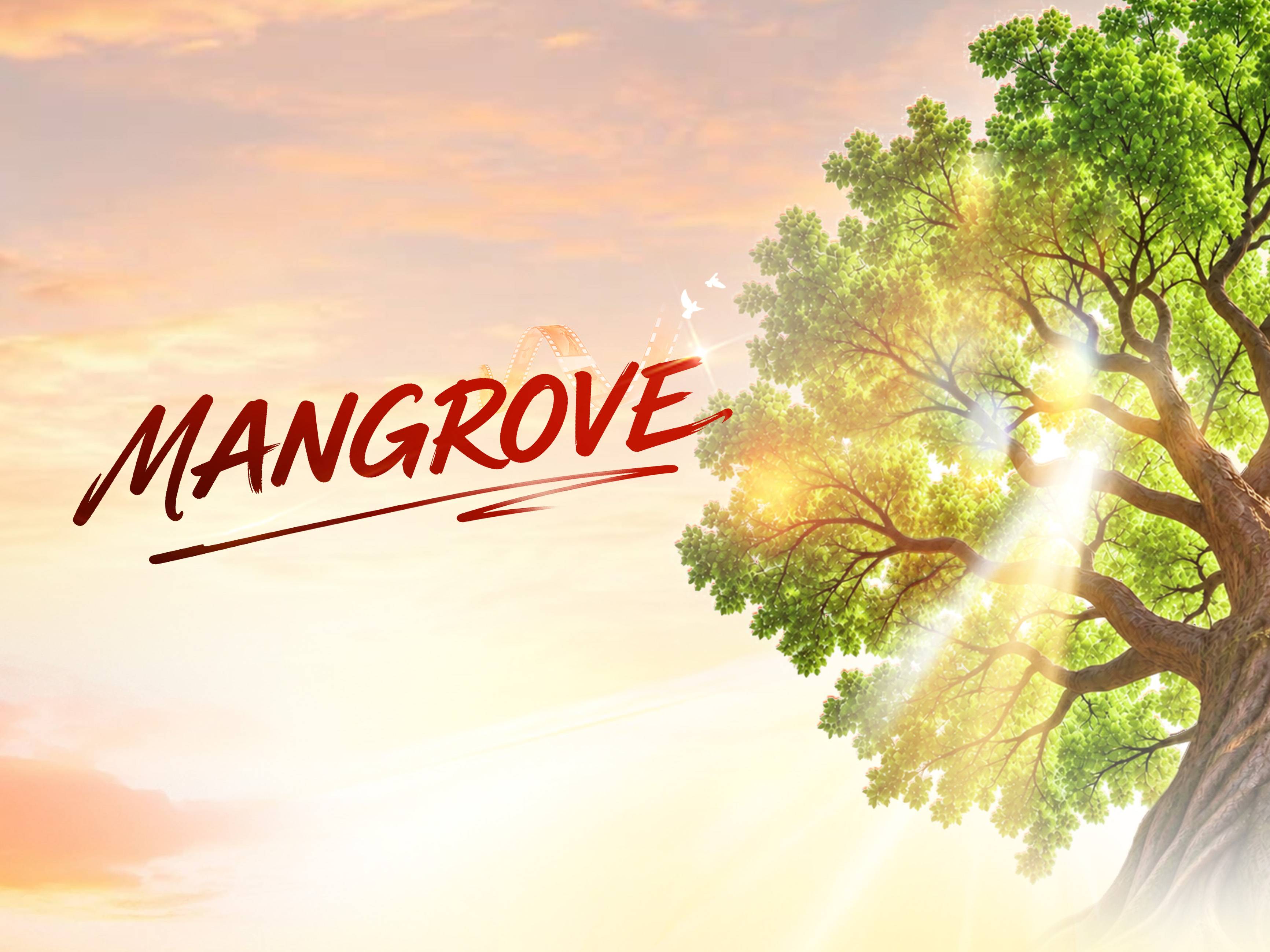 MANGROVE研究4年PFS数据竞猜活动正式启动，诚邀您参与，共探MCL一线无化疗治疗全新循证证据